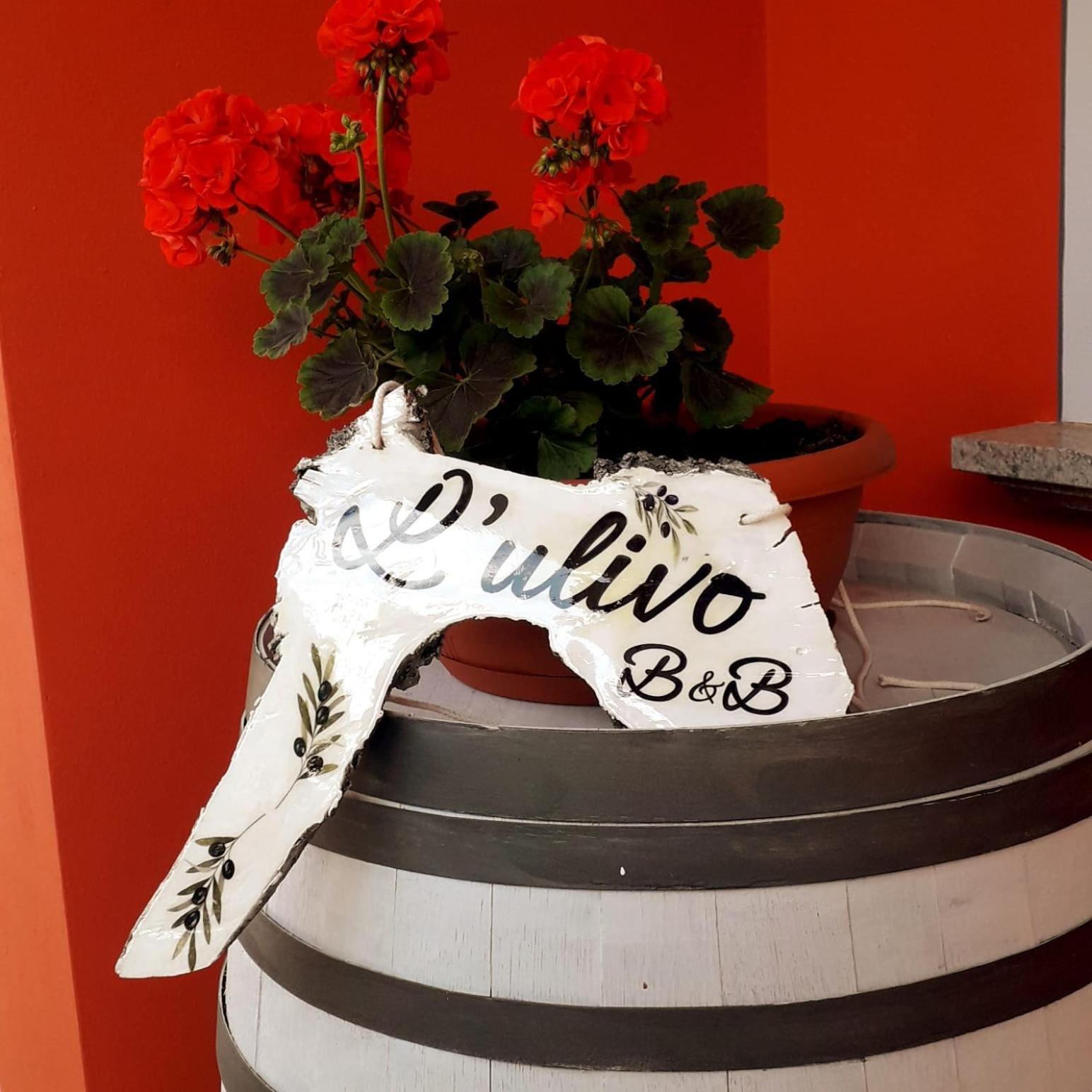 Bed and Breakfast Beb Ulivo Santa Giuletta Екстер'єр фото